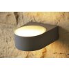 Brilliant Tyler outdoor wall light titanium, 1-light source