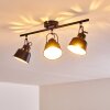 Safari Ceiling Light black-gold, 3-light sources