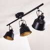 Safari Ceiling Light black-gold, 3-light sources