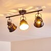 Safari Ceiling Light black-gold, 3-light sources