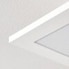 ANTRIA Ceiling Light LED white, 1-light source