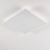 ANTRIA Ceiling Light LED white, 1-light source