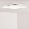 ANTRIA Ceiling Light LED white, 1-light source