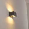 Outdoor Wall Light Spidern LED anthracite, 1-light source