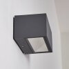 Outdoor Wall Light Spidern LED anthracite, 1-light source