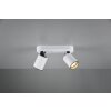 Spotlight Trio Leuchten PAGO white, 2-light sources