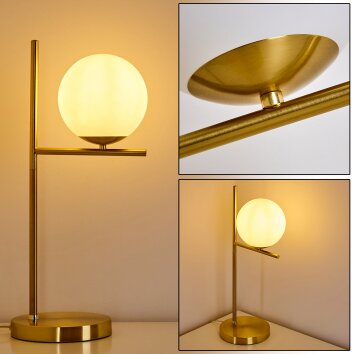 HOGATZA Table Lamp brass, 1-light source