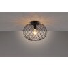 Ceiling Light Fischer & Honsel living Justin black, 1-light source