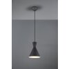 Reality ENZO Pendant Light LED black, 1-light source