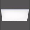 Ceiling Light Paul Neuhaus FRAMELESS LED white, 1-light source, Remote control