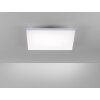 Ceiling Light Paul Neuhaus FRAMELESS LED white, 1-light source, Remote control