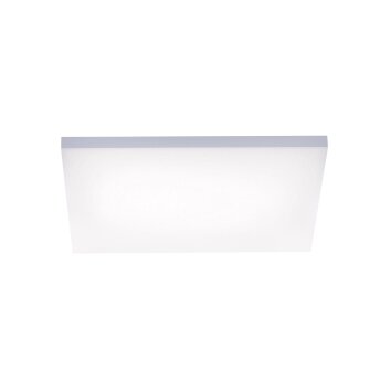 Ceiling Light Paul Neuhaus FRAMELESS LED white, 1-light source, Remote control
