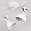 Tina Ceiling Light white, 2-light sources