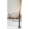 Eglo BARBOTTO Floor Lamp gold, black, 1-light source