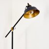 LUVEN Floor Lamp gold, black, black-gold, 1-light source