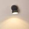 SCHELDE Outdoor Wall Light LED anthracite, 1-light source