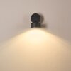SCHELDE Outdoor Wall Light LED anthracite, 1-light source