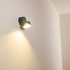 SCHELDE Outdoor Wall Light LED anthracite, 1-light source