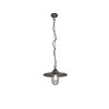 Trio BRENTA Pendant Light anthracite, 1-light source