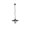 Trio BRENTA Pendant Light anthracite, 1-light source