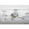 Paul Neuhaus WOMBLE ceiling light stainless steel, 6-light sources