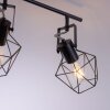 Leuchten-Direkt JARO Ceiling Light Light wood, 4-light sources