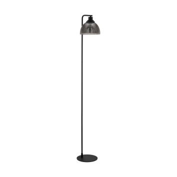 EGLO BELESER Floor Lamp black, 1-light source