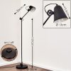 Pany Floor Lamp black, 1-light source