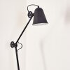 Pany Floor Lamp black, 1-light source