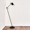 Pany Floor Lamp black, 1-light source