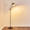 Pany Floor Lamp black, 1-light source