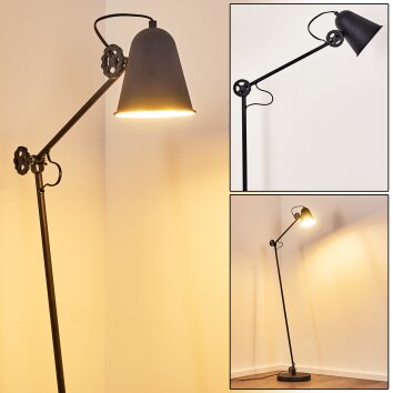Pany Floor Lamp black, 1-light source