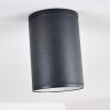 AGUA Ceiling Light black, 1-light source