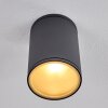 AGUA Ceiling Light black, 1-light source