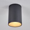 AGUA Ceiling Light black, 1-light source