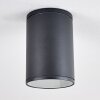 AGUA Ceiling Light black, 1-light source