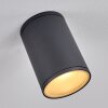 AGUA Ceiling Light black, 1-light source