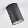 AGUA Ceiling Light black, 1-light source