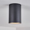 AGUA Ceiling Light black, 1-light source