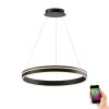Pendant Light Paul Neuhaus Q-VITO LED anthracite, 1-light source, Remote control