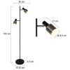 Floor Lamp Steinhauer Fjorgard black, 2-light sources