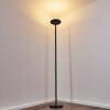 WONSBEK Floor Lamp LED black, 1-light source