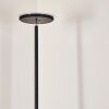 WONSBEK Floor Lamp LED black, 1-light source