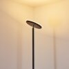 WONSBEK Floor Lamp LED black, 1-light source
