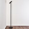 WONSBEK Floor Lamp LED black, 1-light source
