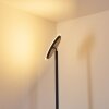 WONSBEK Floor Lamp LED black, 1-light source