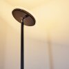 WONSBEK Floor Lamp LED black, 1-light source