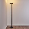 WONSBEK Floor Lamp LED black, 1-light source