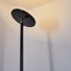 WONSBEK Floor Lamp LED black, 1-light source