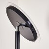 WONSBEK Floor Lamp LED black, 1-light source